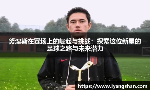 努涅斯在赛场上的崛起与挑战：探索这位新星的足球之路与未来潜力