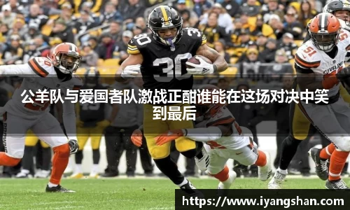 米乐YY易游