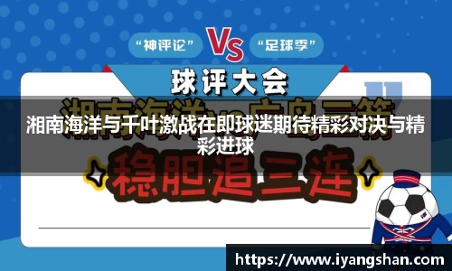 易游