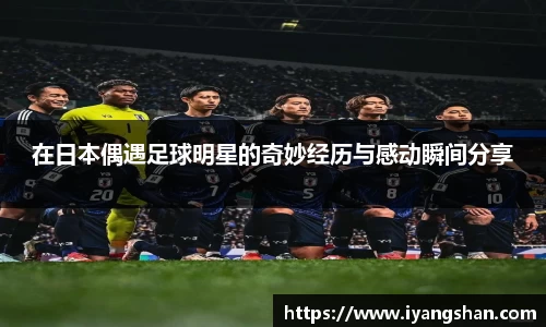 yy易游