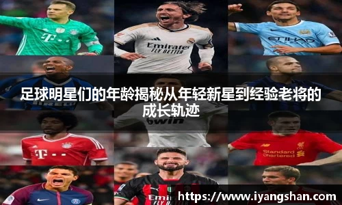 米乐YY易游