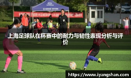 上海足球队在杯赛中的耐力与韧性表现分析与评价